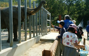 しろとり動物園にて動物にえさをあげたり、ふれあったりしました。